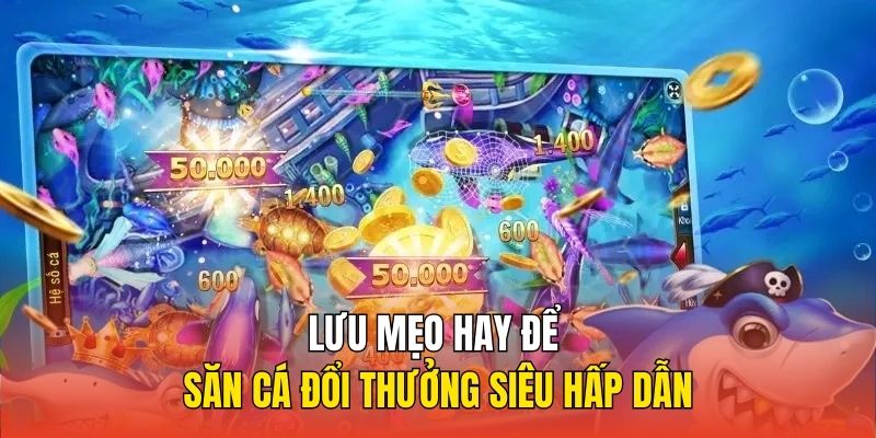 Lưu mẹo hay để săn cá đổi thưởng siêu hấp dẫn