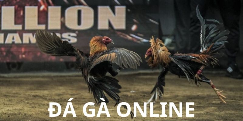 Đá gà online